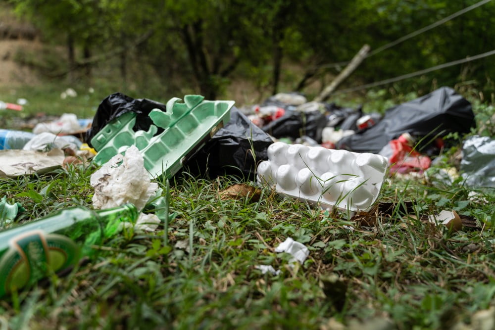 🚯🌱 Affald i naturen – en trussel mod dyr, miljø og mennesker